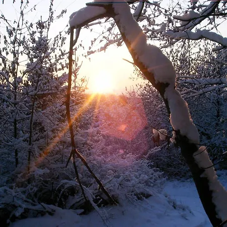 Ferienwohnung-nuerburgblick
