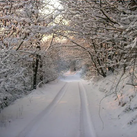 Ferienwohnung-nuerburgblick Appartement Reifferscheid (Rhineland-Palatinate)