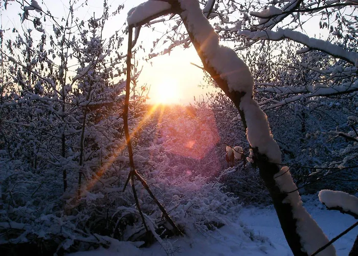 Ferienwohnung-nuerburgblick