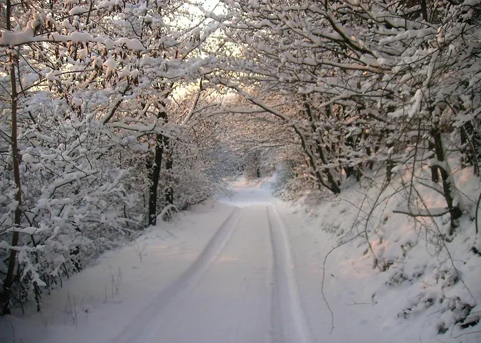 Ferienwohnung-nuerburgblick 아파트 Reifferscheid (Rhineland-Palatinate)